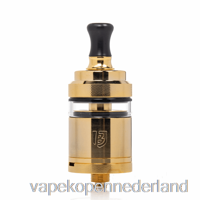 Elektronische Sigaret Vape Vandy Vape Bskr Mini V3 Mtl 22mm Rta Goud